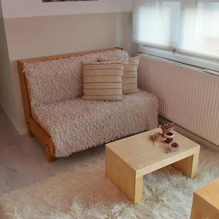 Luxurious Japandi Loft *