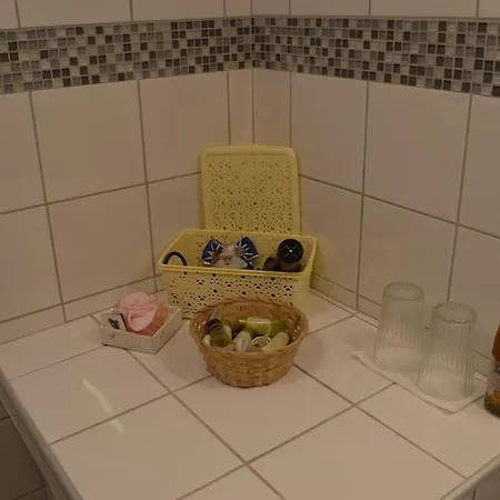 Luxurious Japandi Loft *