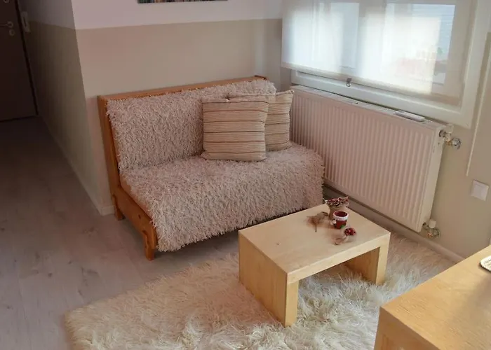 Luxurious Japandi Loft *